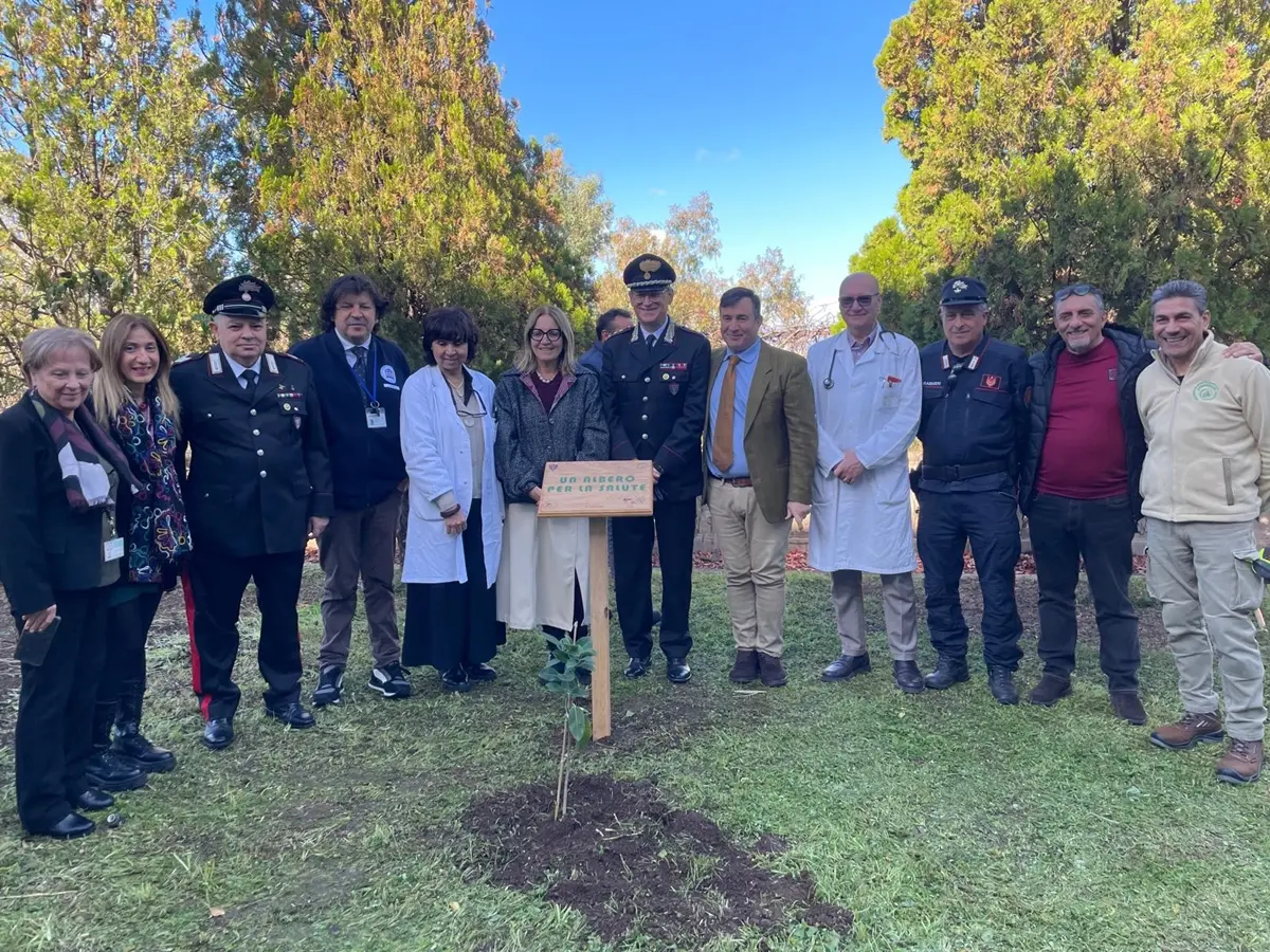 “Un albero per la salute”, il Gom\u00A0di Reggio promuove l’approccio One health\u00A0e pianta un ficus\n