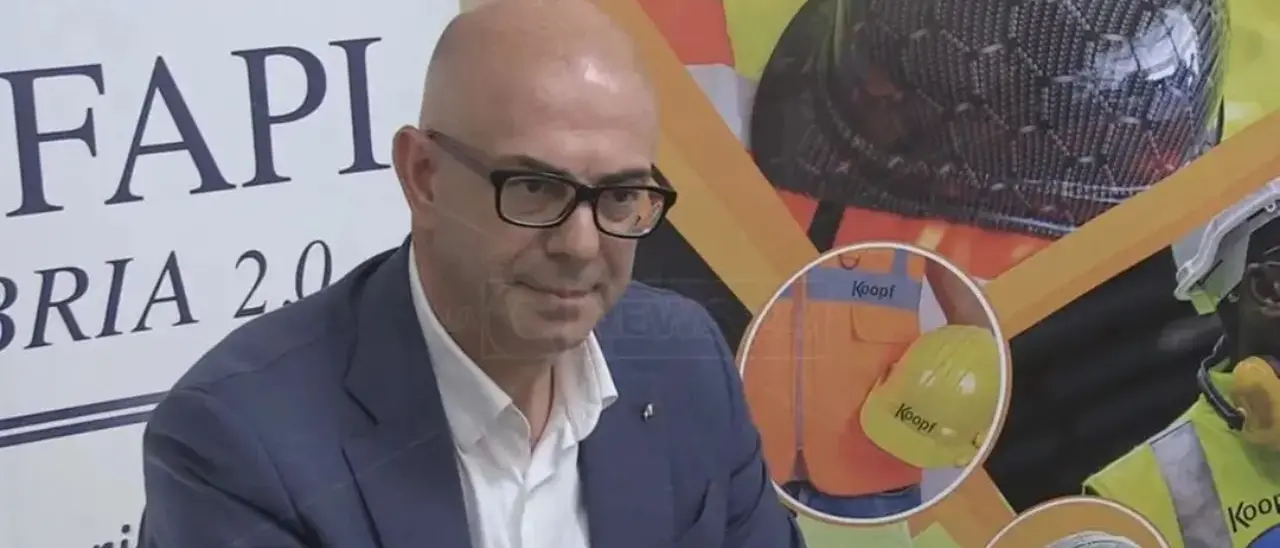 Rapporto Censis e crisi sociale, Napoli (Confapi): «Servono misure concrete per rilanciare le piccole imprese»\n