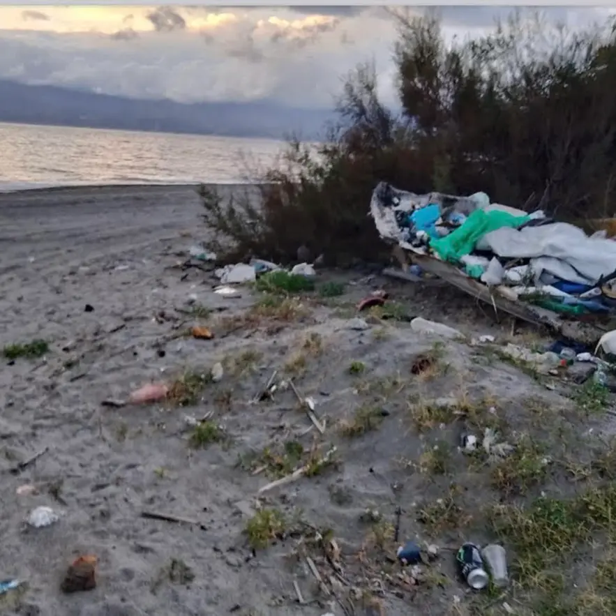 Vigilanza su\u00A0randagismo e\u00A0colonie feline, l’impegno di\u00A0Oipa\u00A0Reggio e\u00A0Guardia Agroforestale Italiana\n\n\n