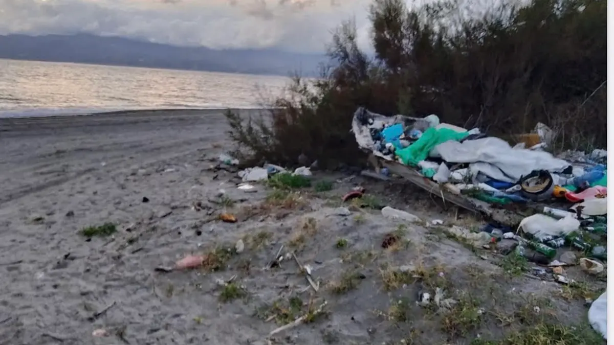 Vigilanza su\u00A0randagismo e\u00A0colonie feline, l’impegno di\u00A0Oipa\u00A0Reggio e\u00A0Guardia Agroforestale Italiana\n\n\n