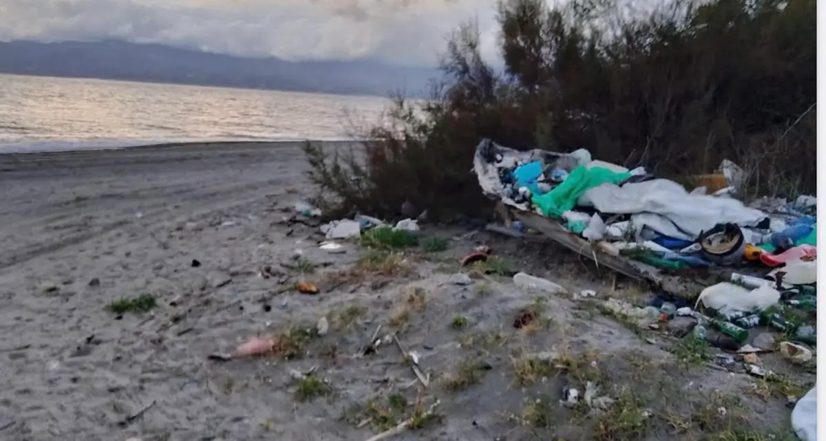 Vigilanza su\u00A0randagismo e\u00A0colonie feline, l’impegno di\u00A0Oipa\u00A0Reggio e\u00A0Guardia Agroforestale Italiana\n\n\n