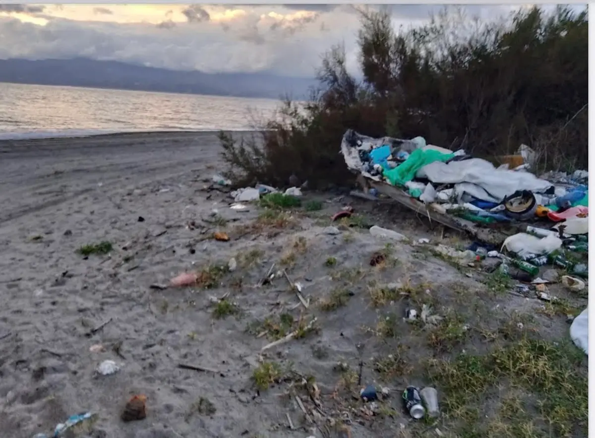 Vigilanza su\u00A0randagismo e\u00A0colonie feline, l’impegno di\u00A0Oipa\u00A0Reggio e\u00A0Guardia Agroforestale Italiana\n\n\n