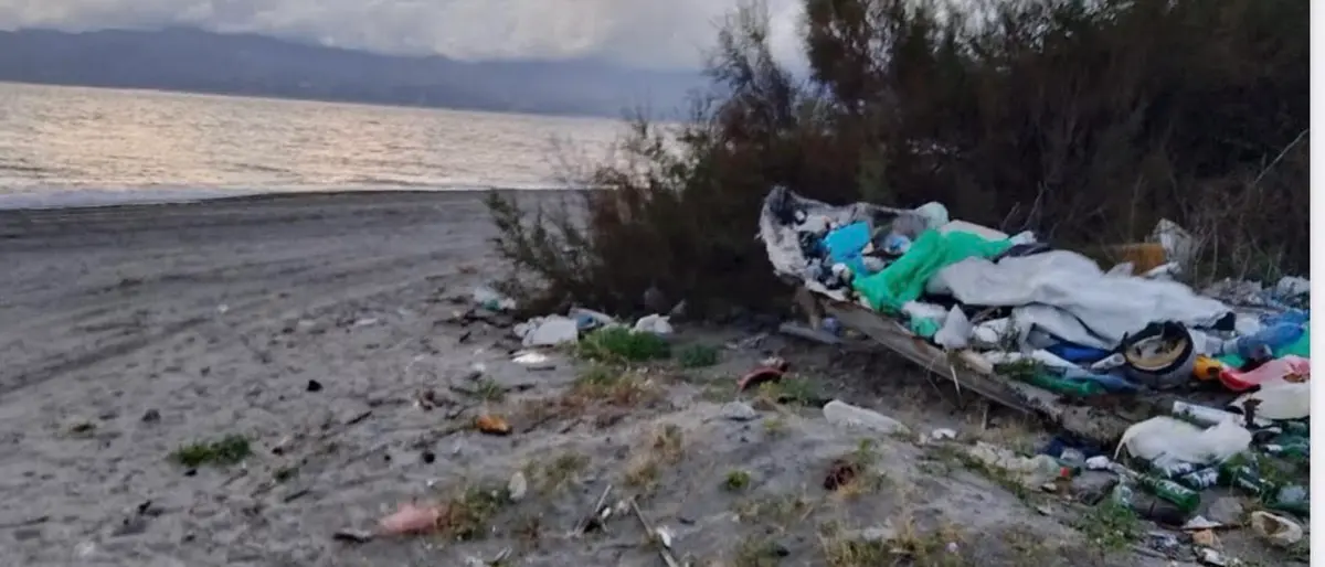 Vigilanza su\u00A0randagismo e\u00A0colonie feline, l’impegno di\u00A0Oipa\u00A0Reggio e\u00A0Guardia Agroforestale Italiana\n\n\n