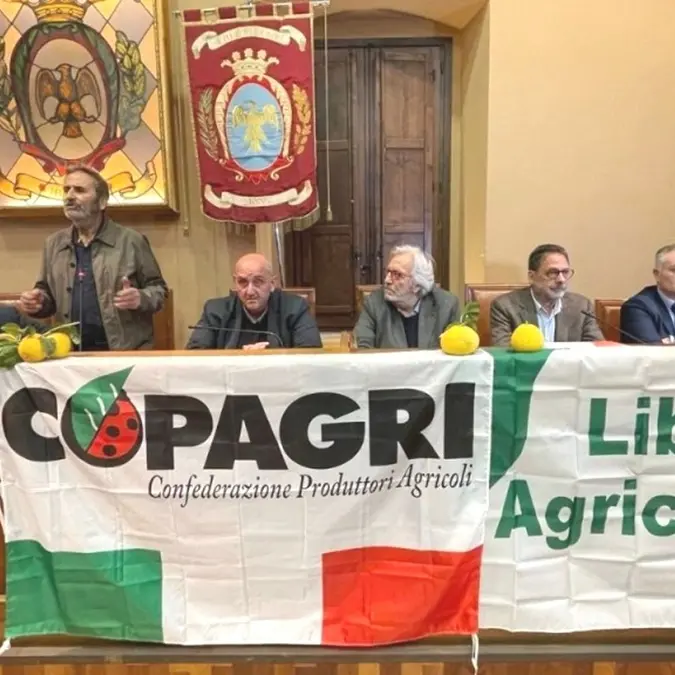 Opposizione a Bergamotto Igp, insorgono i\u00A0comitati: «Presentiamo le nostre controdeduzioni e si perderà solo altro tempo»