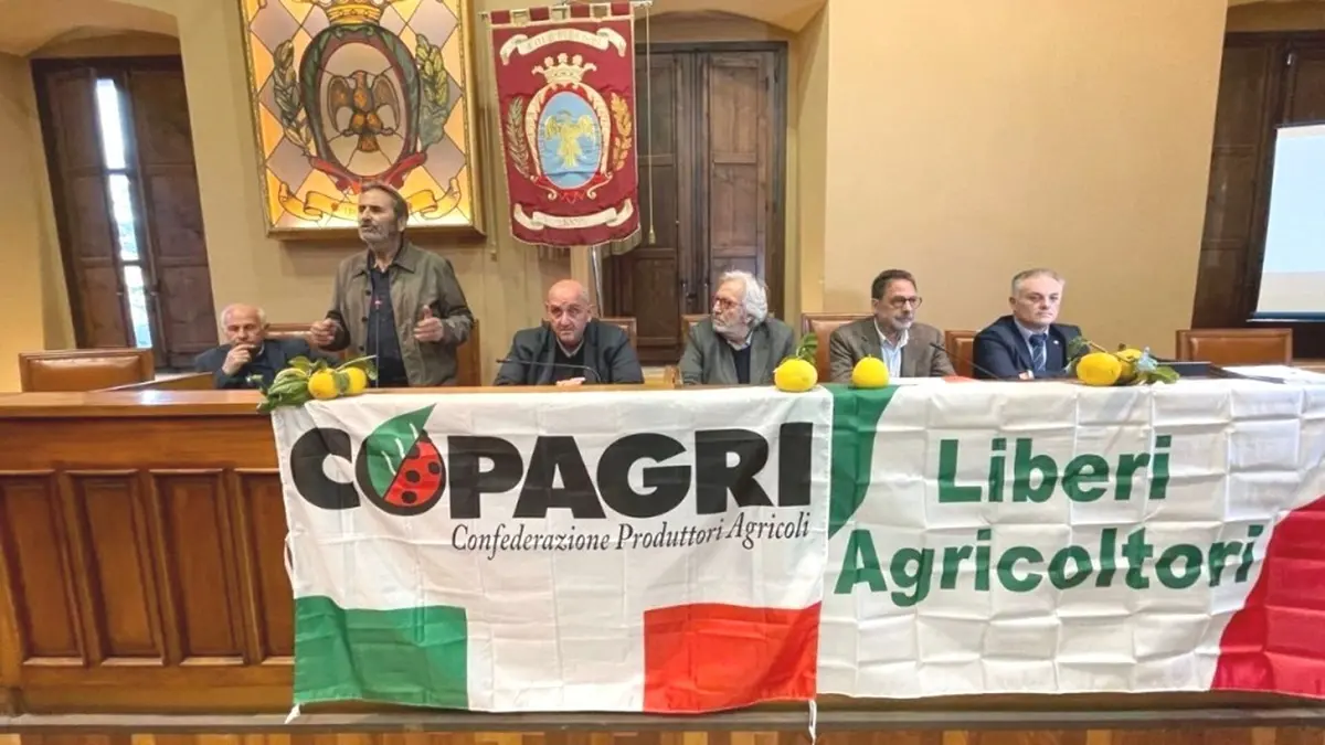 Opposizione a Bergamotto Igp, insorgono i\u00A0comitati: «Presentiamo le nostre controdeduzioni e si perderà solo altro tempo»