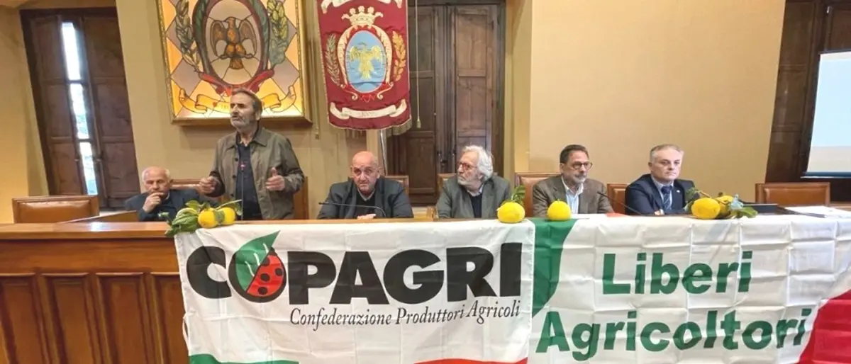 Opposizione a Bergamotto Igp, insorgono i\u00A0comitati: «Presentiamo le nostre controdeduzioni e si perderà solo altro tempo»