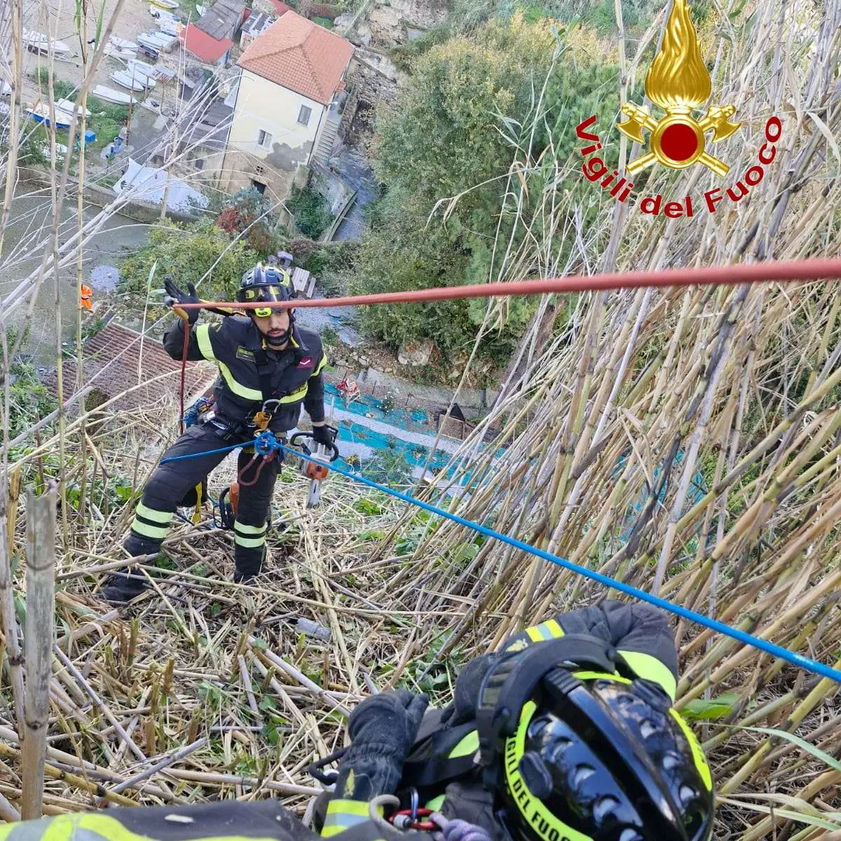 Pizzo,\u00A0alberi pericolanti sul costone della Seggiola:\u00A0intervengono i Vigili del Fuoco\n