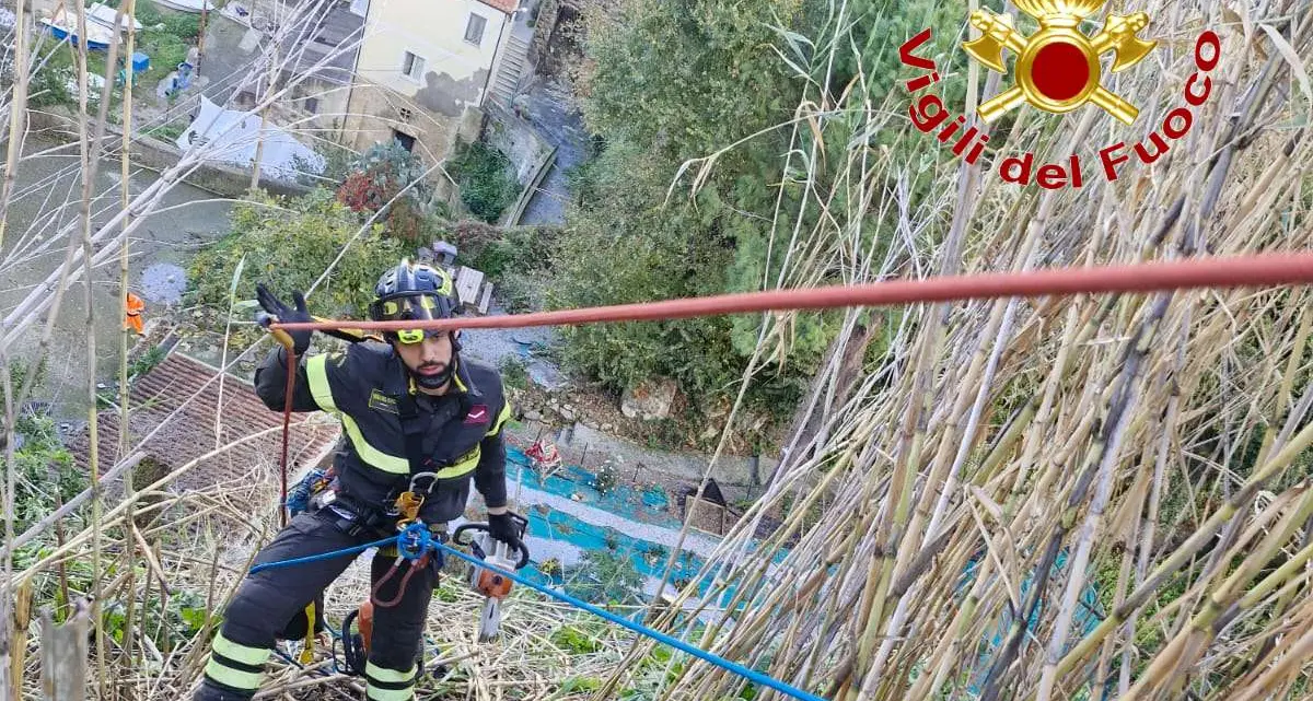 Pizzo,\u00A0alberi pericolanti sul costone della Seggiola:\u00A0intervengono i Vigili del Fuoco\n