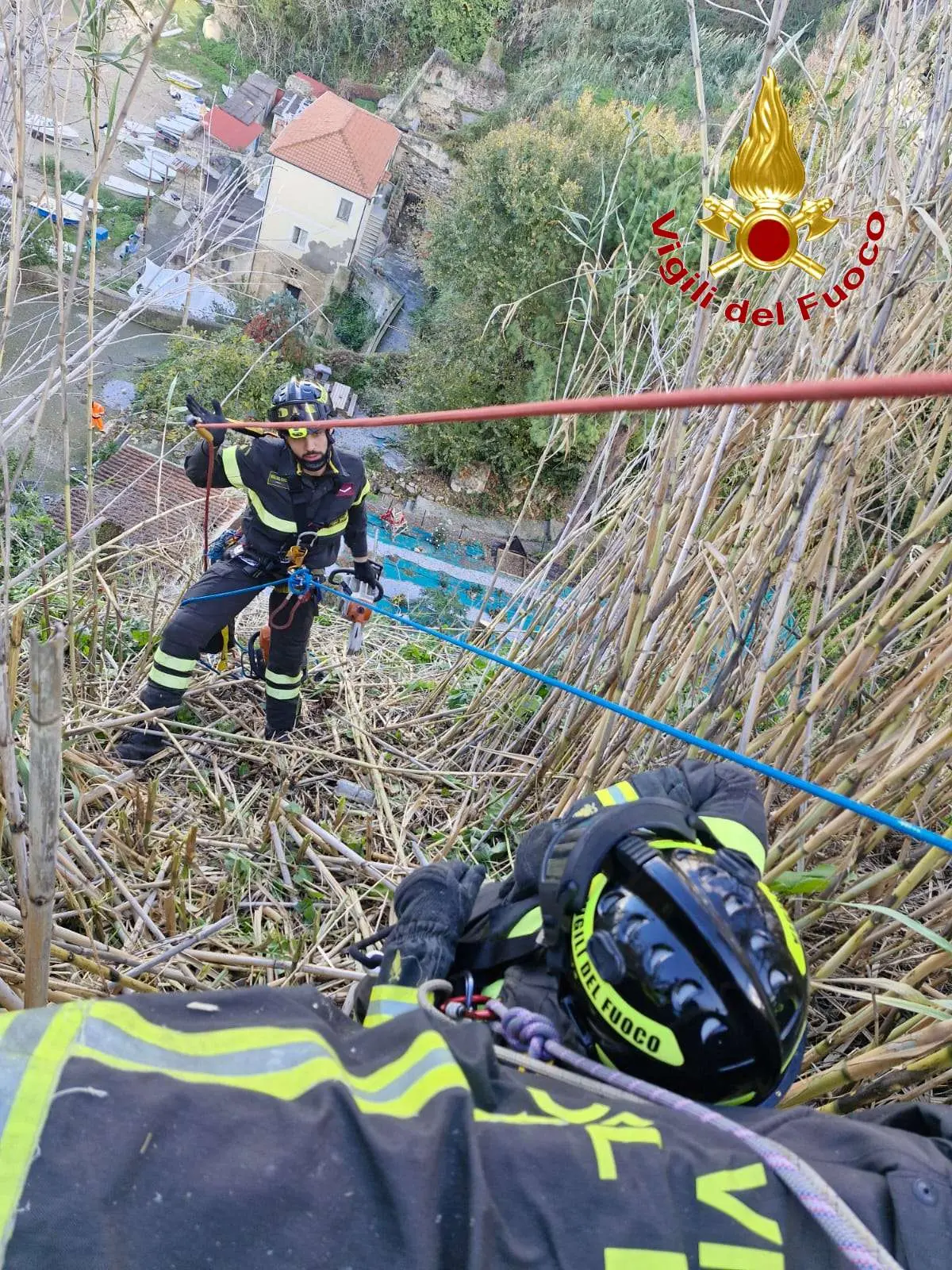 Pizzo,\u00A0alberi pericolanti sul costone della Seggiola:\u00A0intervengono i Vigili del Fuoco\n