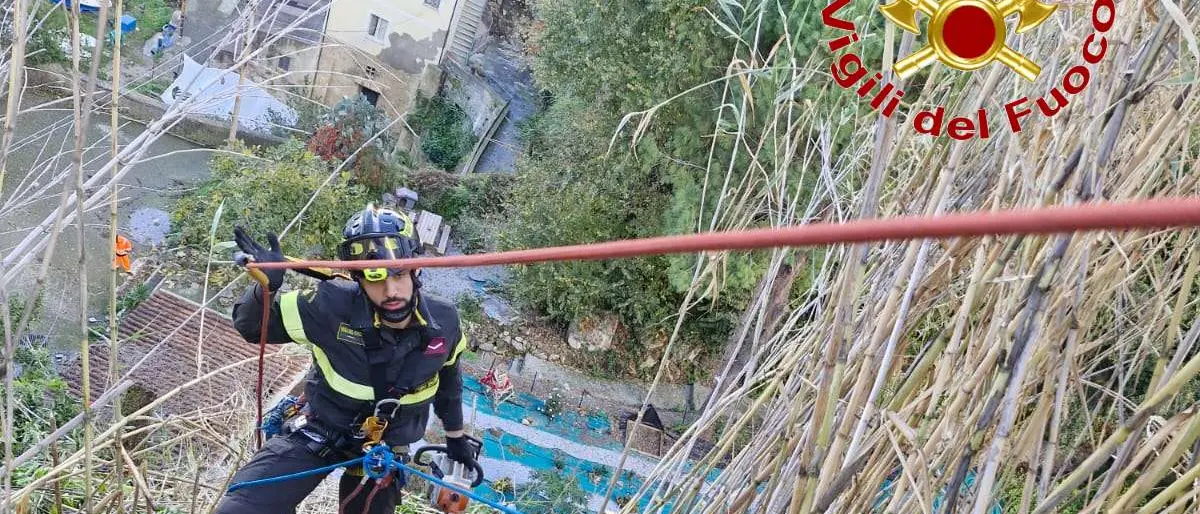 Pizzo,\u00A0alberi pericolanti sul costone della Seggiola:\u00A0intervengono i Vigili del Fuoco\n
