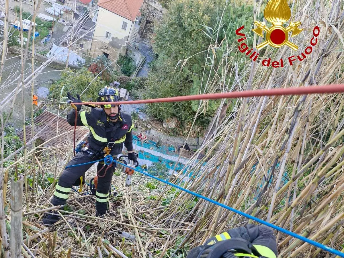 Pizzo, alberi pericolanti sul costone della Seggiola: intervengono i Vigili del Fuoco
