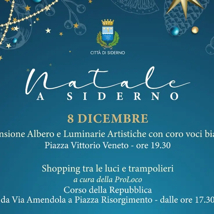 L’Albero e le luminarie: il Natale arriva a\u00A0Siderno