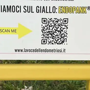 Da 5 mesi sparita Endopank, la panchina che sensibilizza contro l’endometriosi