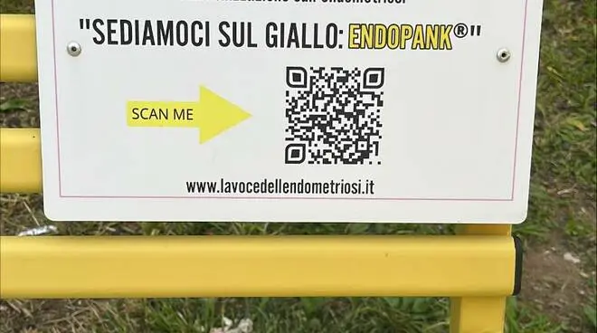 Da 5 mesi sparita Endopank, la panchina che sensibilizza contro l’endometriosi