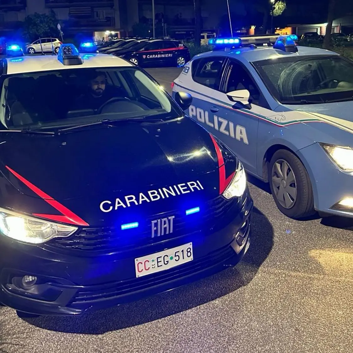 Cosenza, chi sono i giovani sospettati di essere la banda del furto