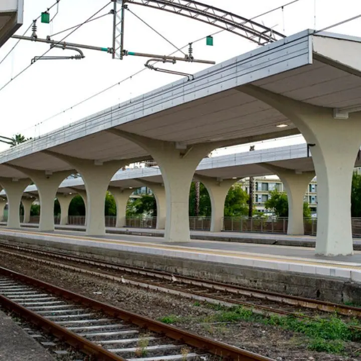 Trasporti a Natale, Incarnato:\u00A0«Il ministro Salvini non può ignorare\u00A0il\u00A0rincaro dei prezzi di Trenitalia»\n