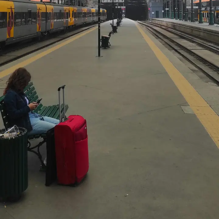 Vibo, i giovani di Fi e Fdi scrivono a Trenitalia: «Serve una riduzione delle tariffe dei biglietti, incontriamoci»\n