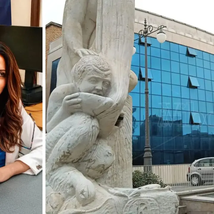 «A\u00A0Vibo il Natale non si sente, città spenta e senza slancio»: Fratelli d’Italia attacca l’amministrazione Romeo\n