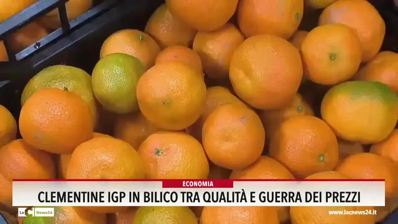 Clementine Igp in bilico tra qualità e guerra dei prezzi