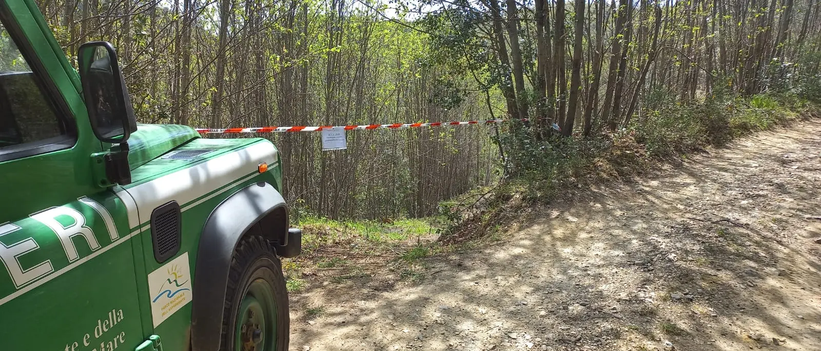 Operazioni dei Carabinieri Forestali contro tagli boschivi irregolari e furto di materiale legnoso\n