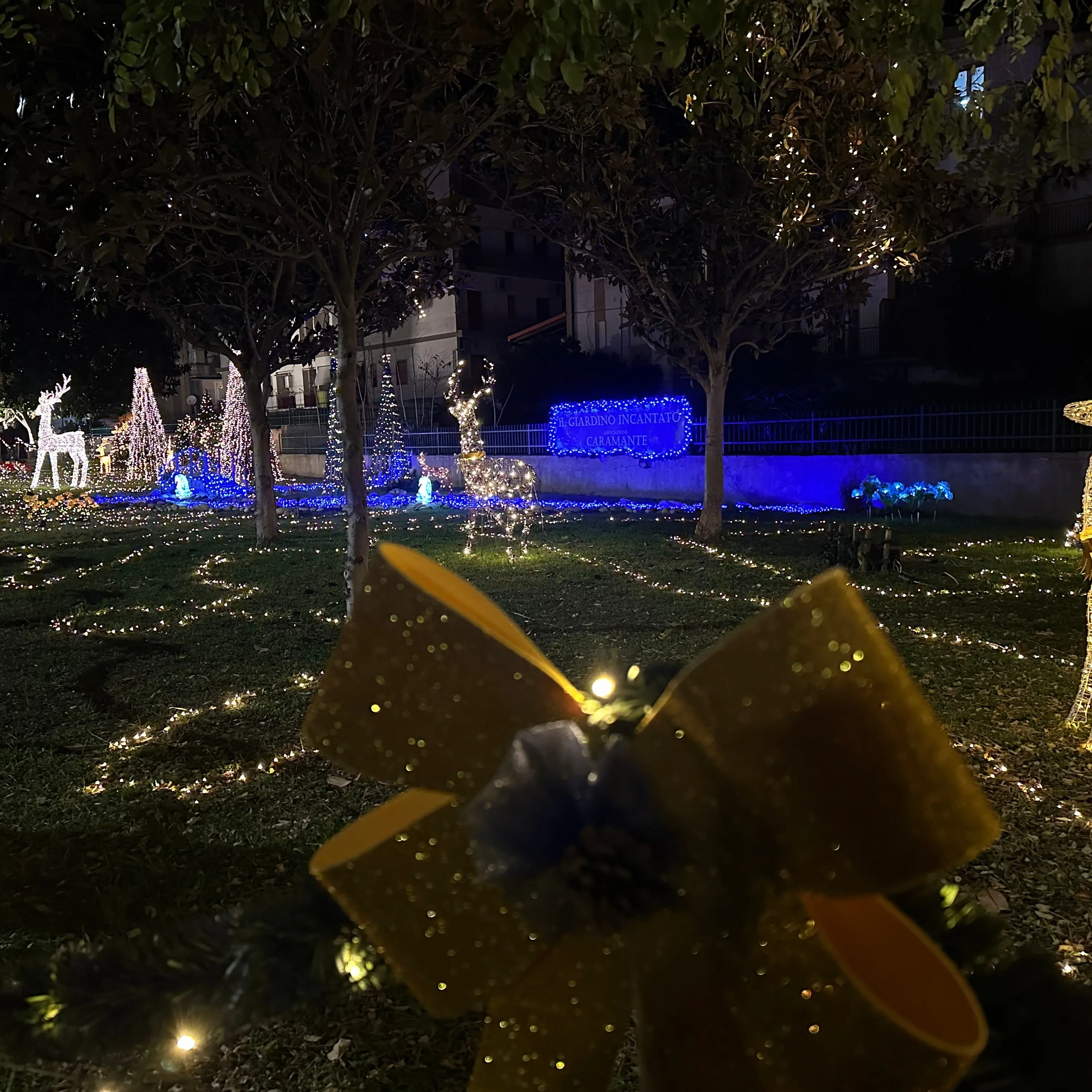 A Soverato si accende la magica atmosfera natalizia del\u00A0“Giardino incantato”\n