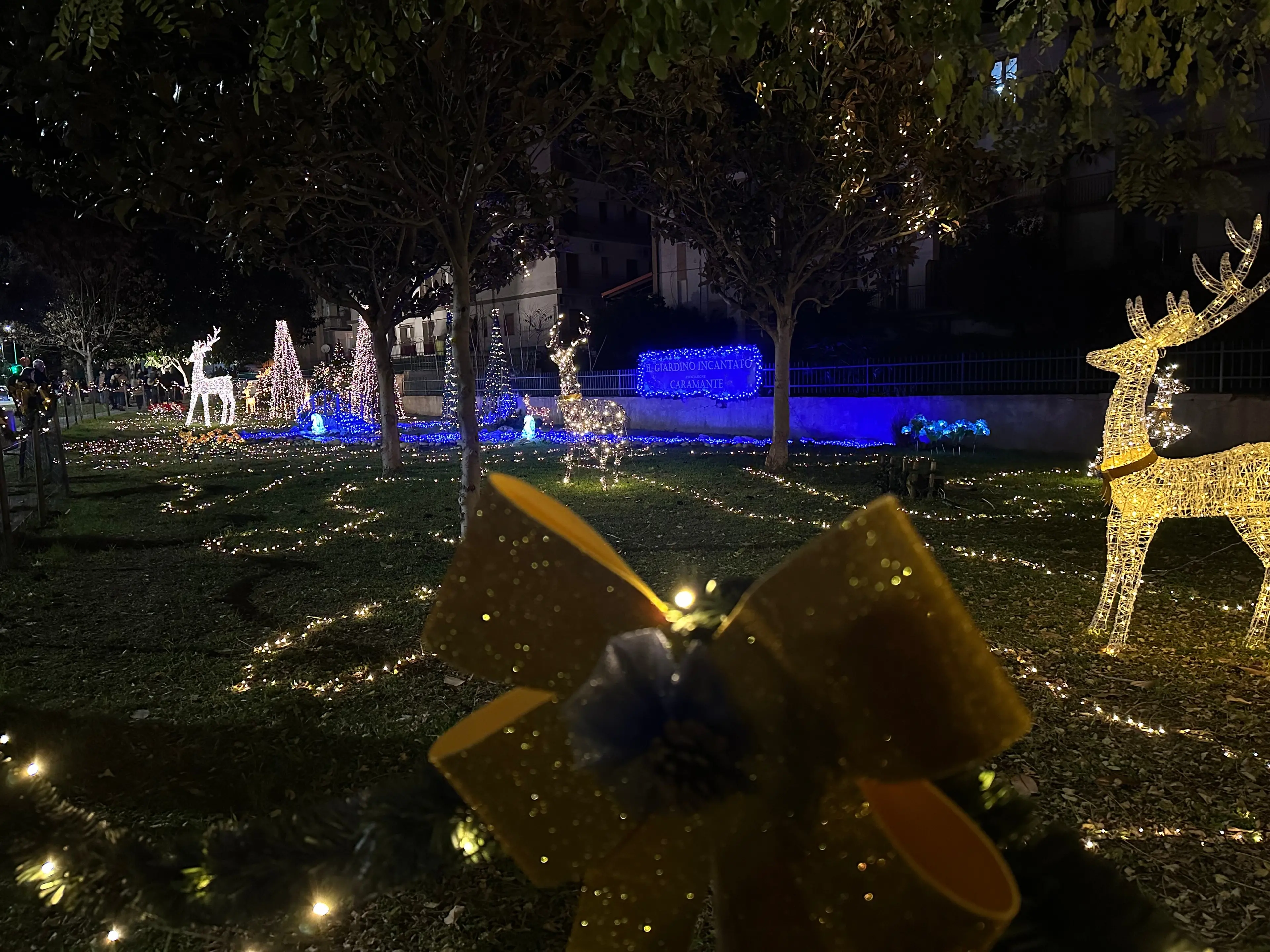 A Soverato si accende la magica atmosfera natalizia del\u00A0“Giardino incantato”\n