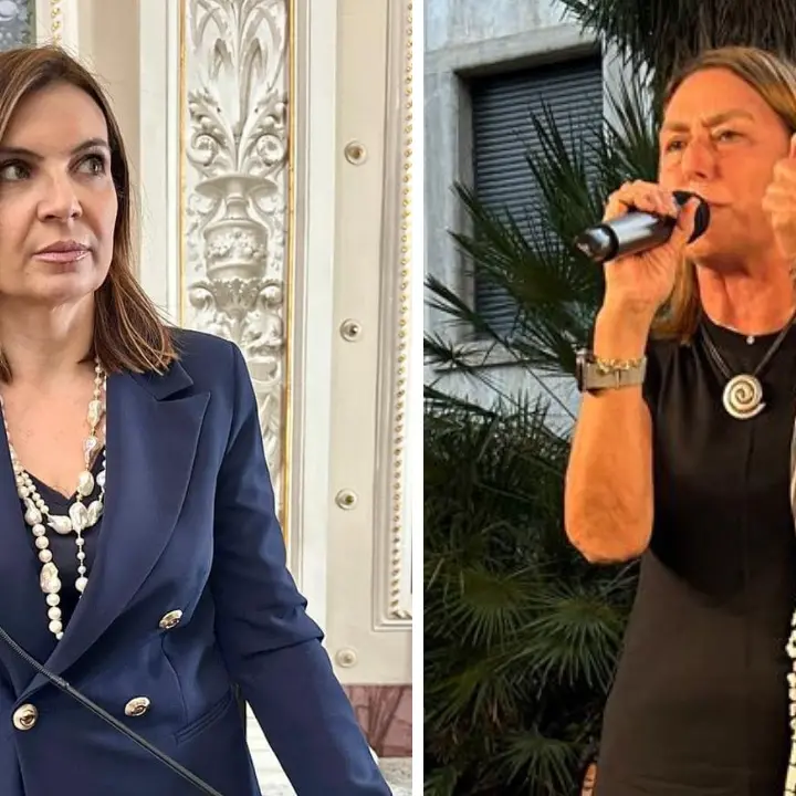 Nel Pd non c'è pace, scintille Madeo-Bruno Bossio sui social: sullo sfondo il ricorso per il seggio in Consiglio regionale