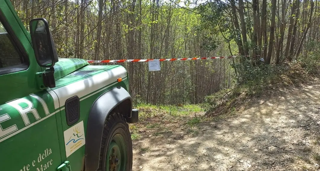 Tagli boschivi illegali e furto di legname nel Reggino, denunciate otto persone tra cui un minorenne\n