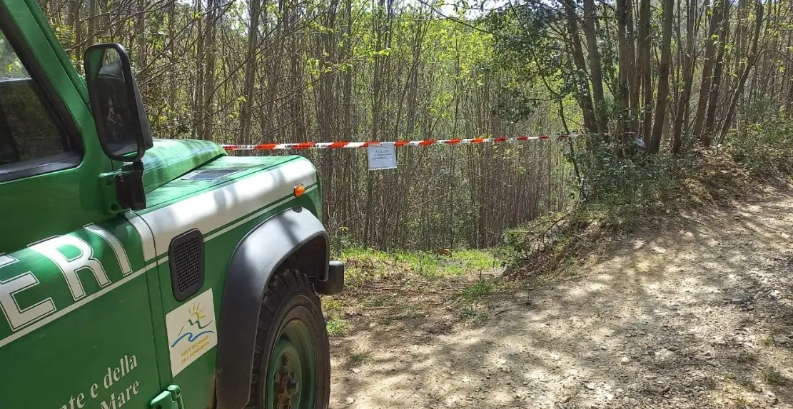 Tagli boschivi illegali e furto di legname nel Reggino, denunciate otto persone tra cui un minorenne\n