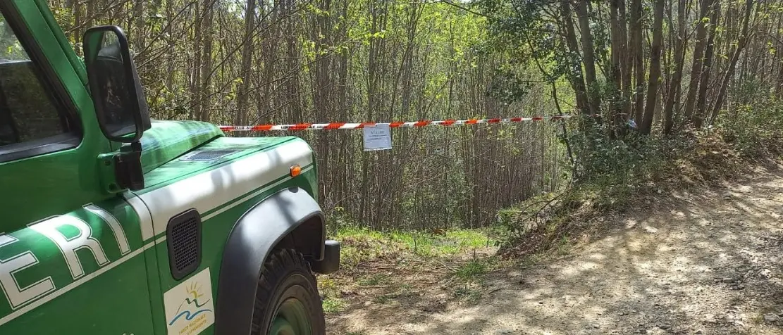 Tagli boschivi illegali e furto di legname nel Reggino, denunciate otto persone tra cui un minorenne\n