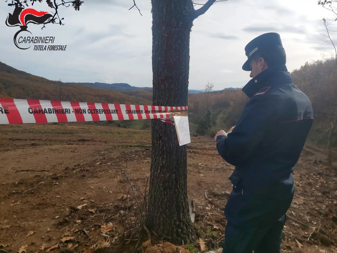 Campana, sequestrata un’area di 3mila metri quadrati: lavori abusivi su un bosco di cerro