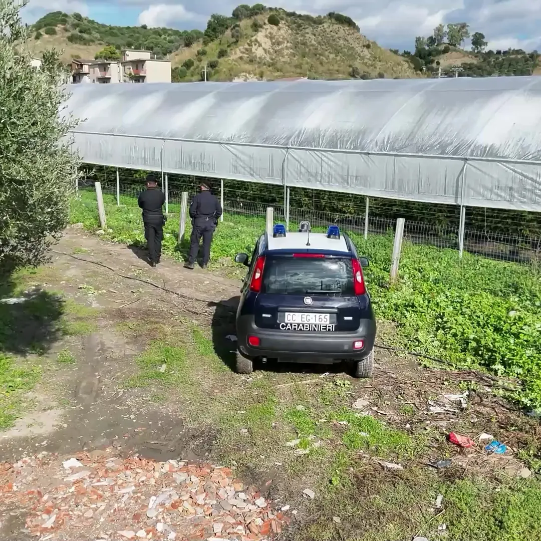 San Luca, scoperte serre abusive su 35mila mq e prelievi d’acqua illeciti: quattro denunce dei Carabinieri\n
