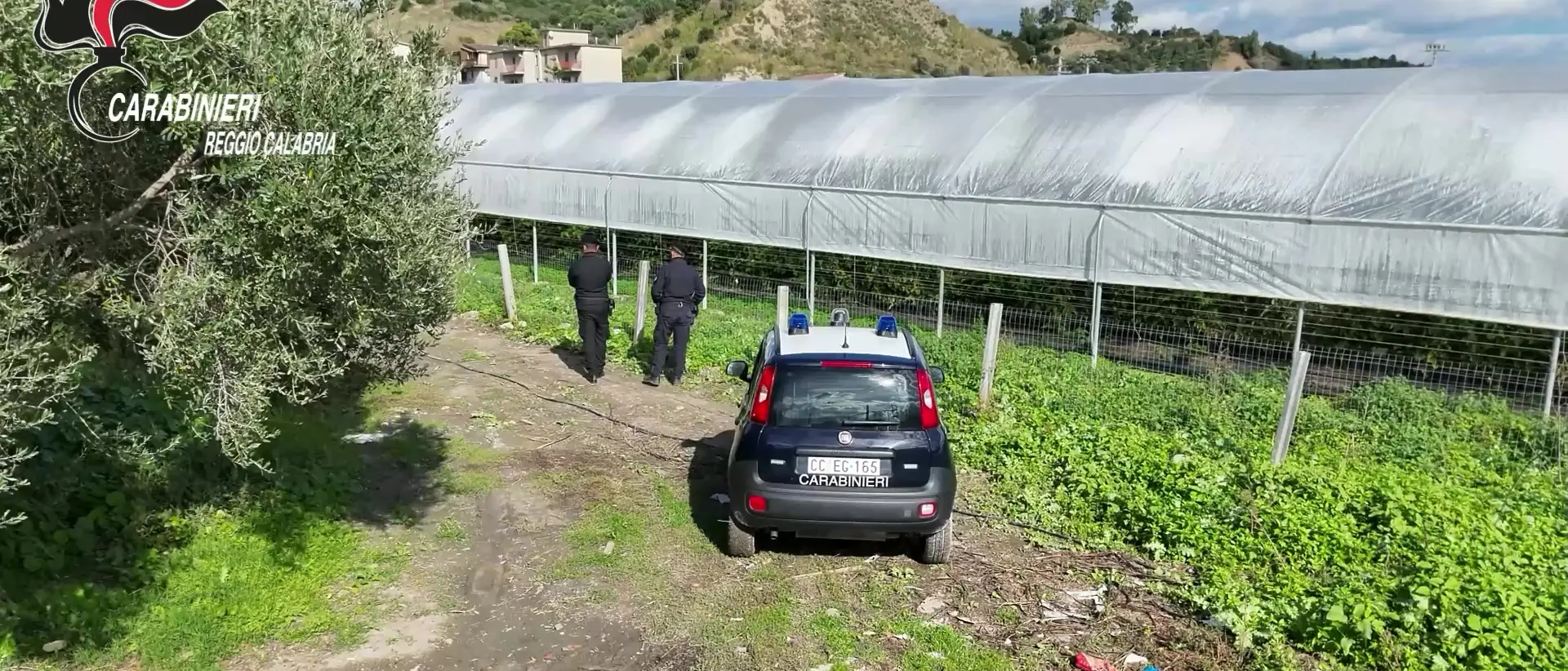 San Luca, scoperte serre abusive su 35mila mq e prelievi d’acqua illeciti: quattro denunce dei Carabinieri\n