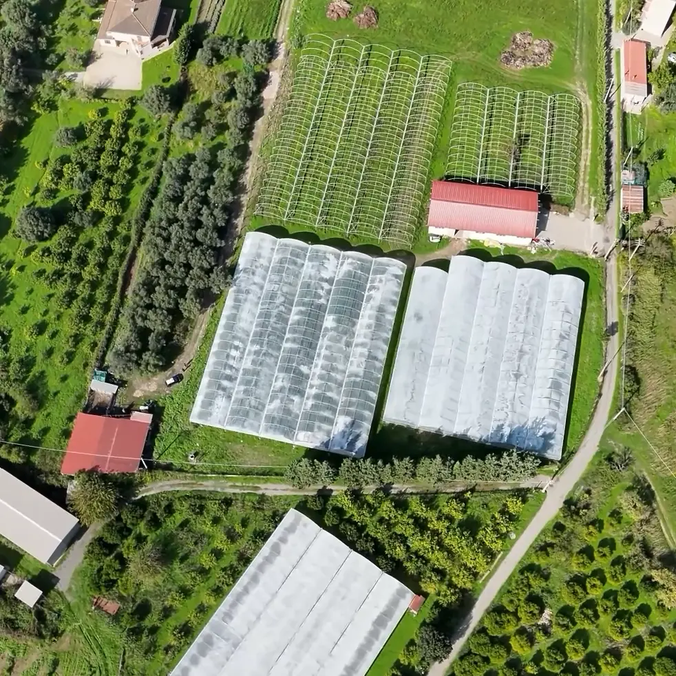 Una fiumara “prosciugata” per produrre lamponi\u00A0a San Luca,\u00A0sequestrati 35mila metri quadri di serre abusive: 4 denunce\n