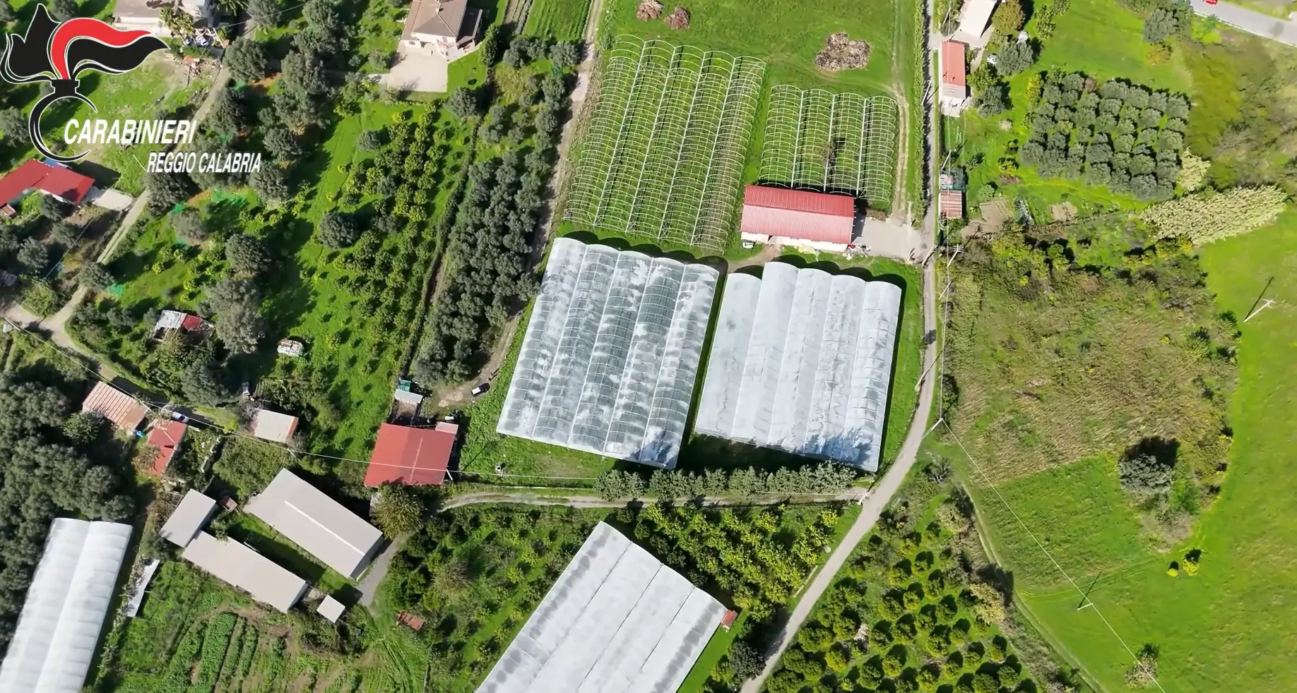 Una fiumara “prosciugata” per produrre lamponi\u00A0a San Luca,\u00A0sequestrati 35mila metri quadri di serre abusive: 4 denunce\n