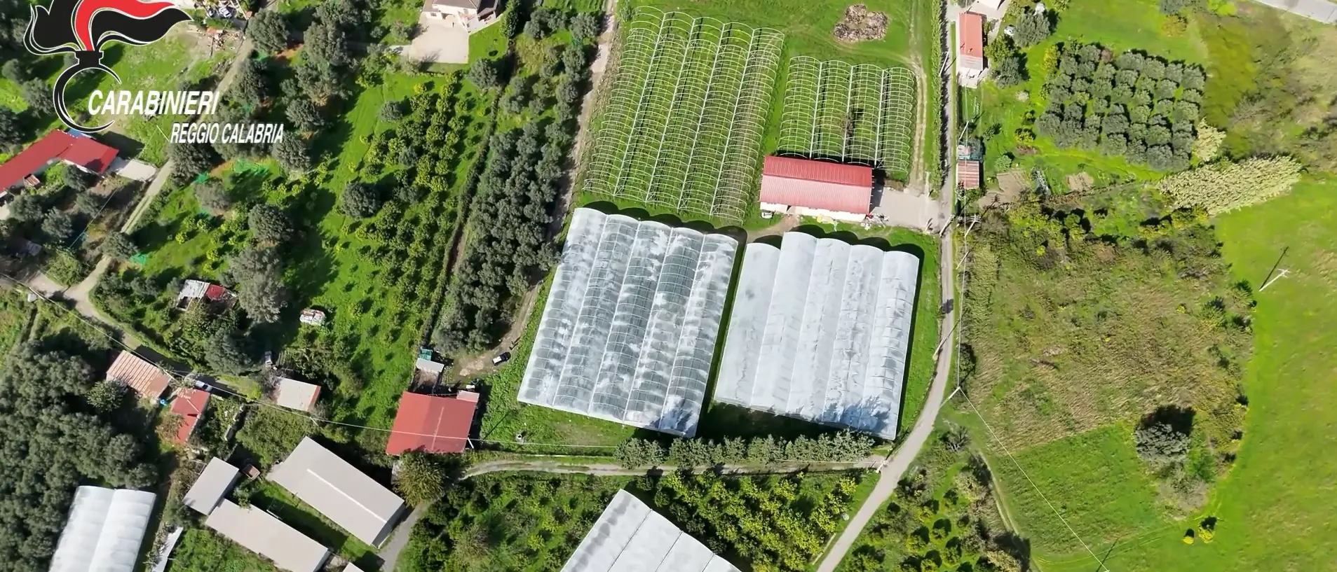 Una fiumara “prosciugata” per produrre lamponi\u00A0a San Luca,\u00A0sequestrati 35mila metri quadri di serre abusive: 4 denunce\n