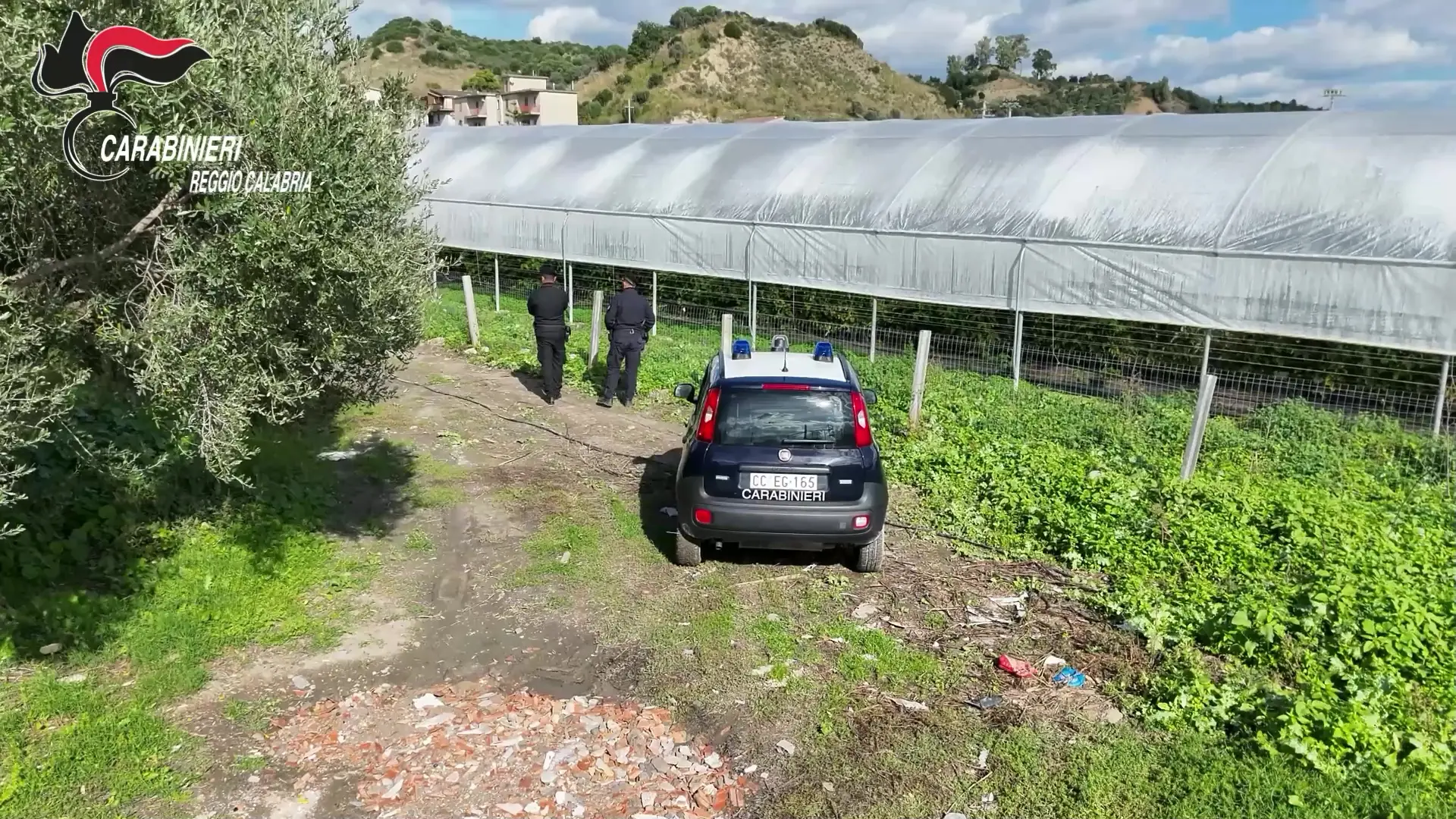 Serre di lamponi abusive e acqua sottratta alla fiumara: maxi-sequestro a San Luca