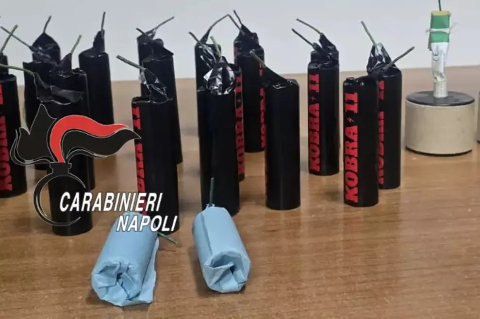 Trasportavano in auto ordigni e polvere esplosiva insieme ai figli di 2 e 10 anni: arrestati i genitori\n