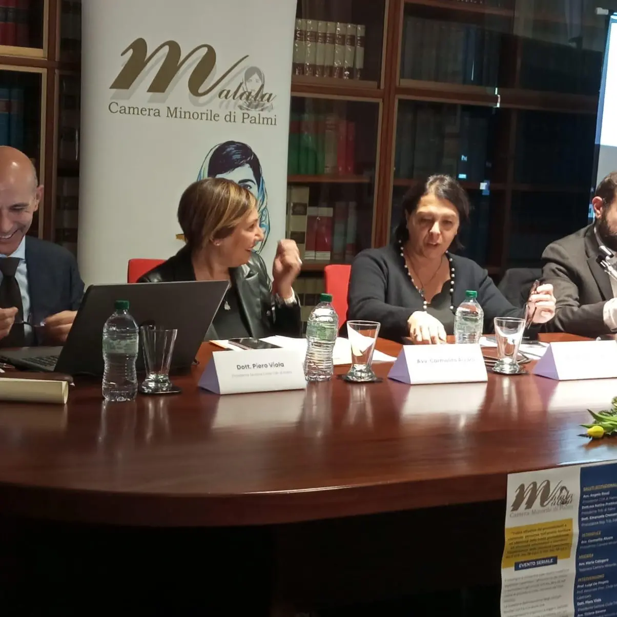 La Camera Minorile di Palmi a confronto\u00A0sulla protezione dei più fragili\n