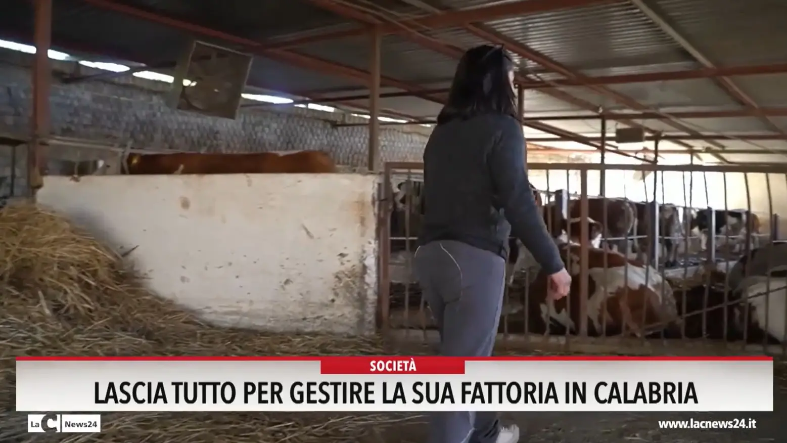 Lascia tutto, per gestire la sua fattoria in Calabria