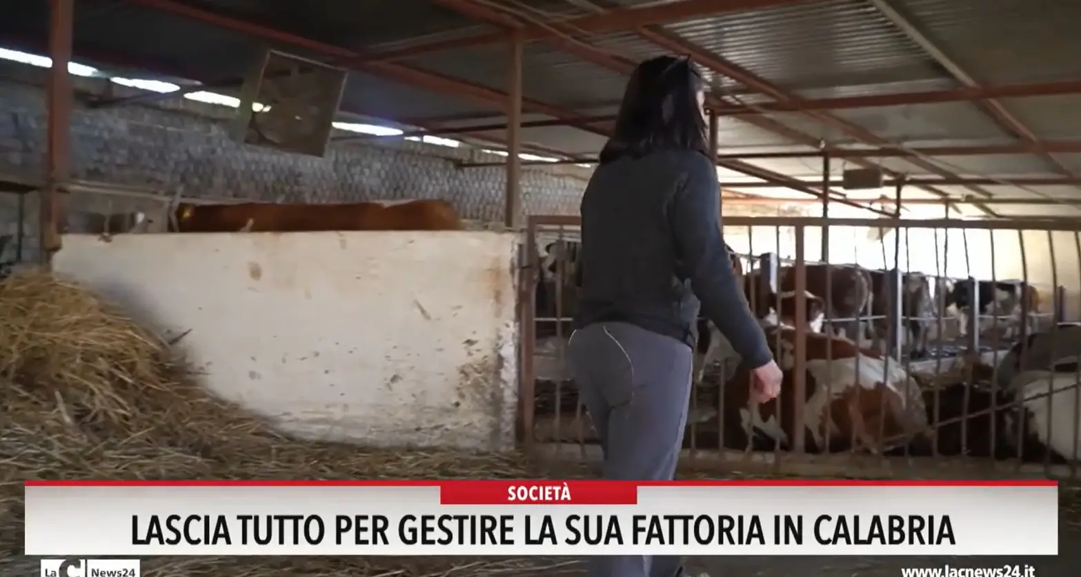 Lascia tutto, per gestire la sua fattoria in Calabria