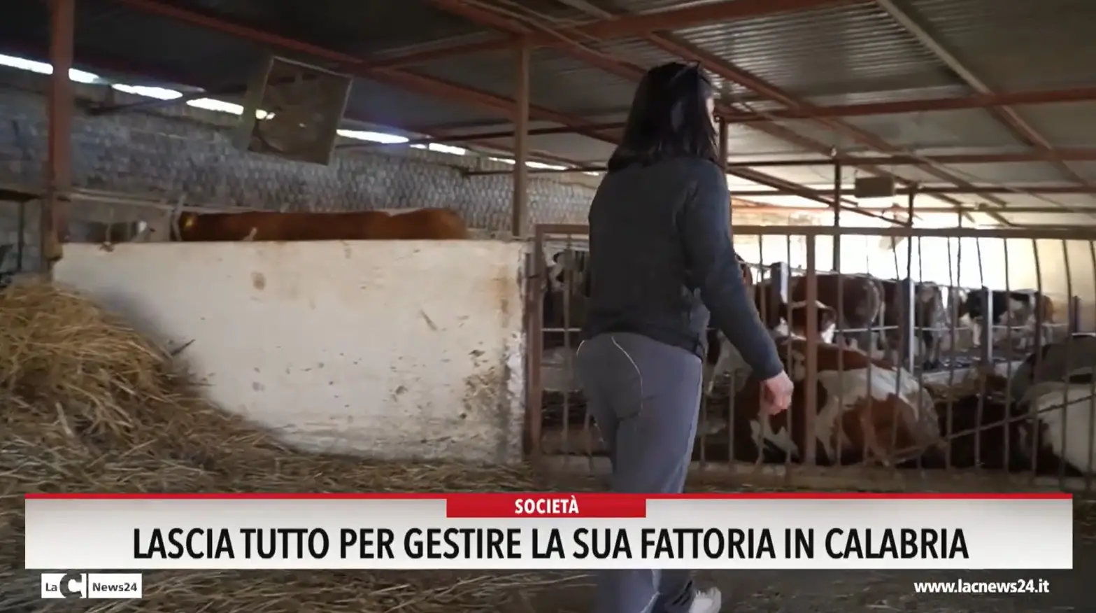 Lascia tutto, per gestire la sua fattoria in Calabria