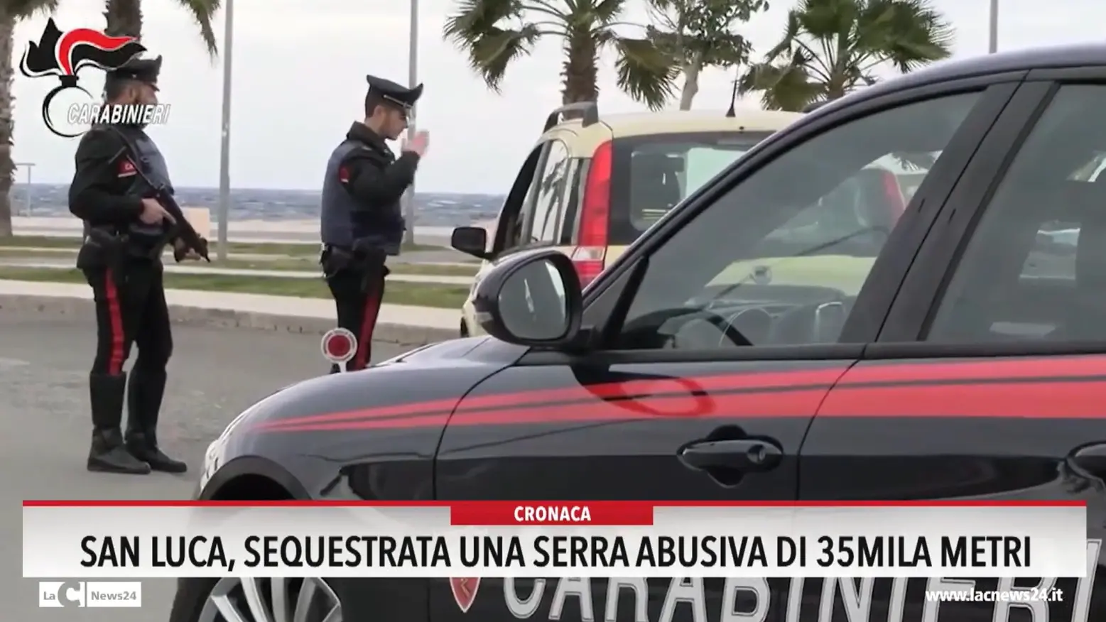 San Luca, sequestrata una serra abusiva di 35mila metri