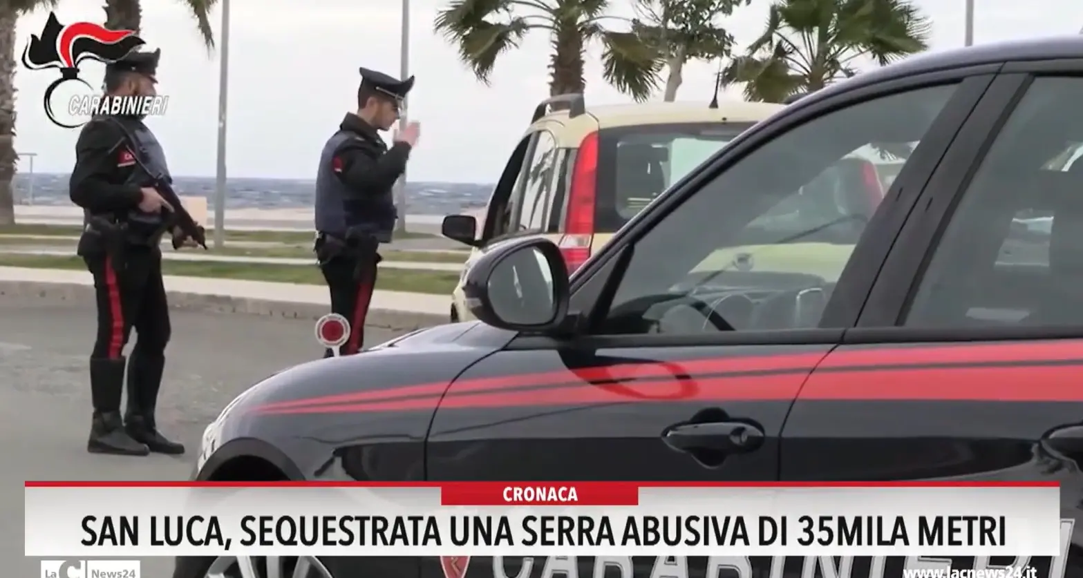 San Luca, sequestrata una serra abusiva di 35mila metri