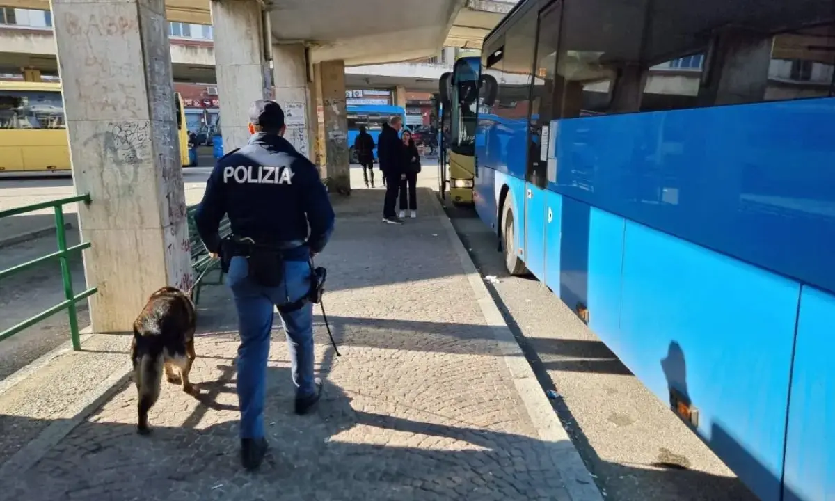Autostazione di Cosenza terra di nessuno. L’allarme della Confail Faisa: «Istituire postazione fissa delle forze dell’ordine»\n