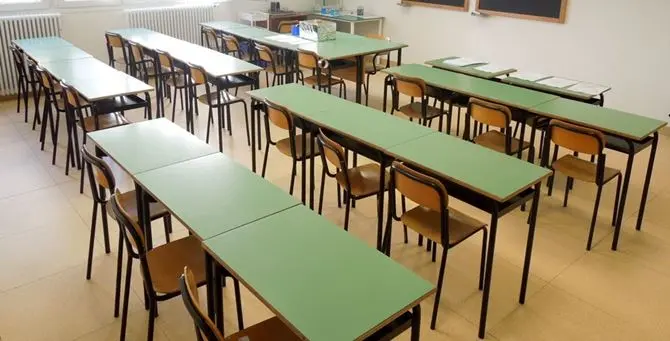 Bianco, allarme topi a scuola. Lezioni sospese fino a domani\n