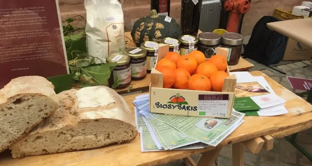 ReGenera a Vibo Valentia:\u00A0due giorni di agroecologia artigiana tra cinema, cibo, dibattiti e musica\n