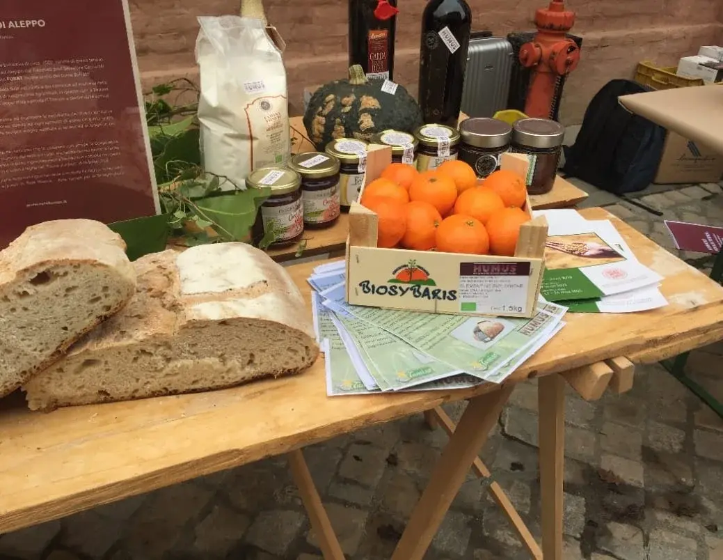 ReGenera a Vibo Valentia:\u00A0due giorni di agroecologia artigiana tra cinema, cibo, dibattiti e musica\n