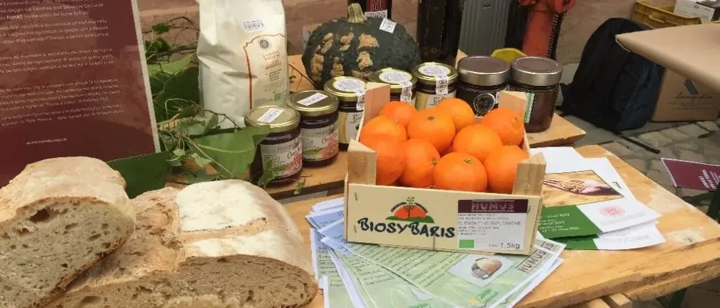 ReGenera a Vibo Valentia:\u00A0due giorni di agroecologia artigiana tra cinema, cibo, dibattiti e musica\n