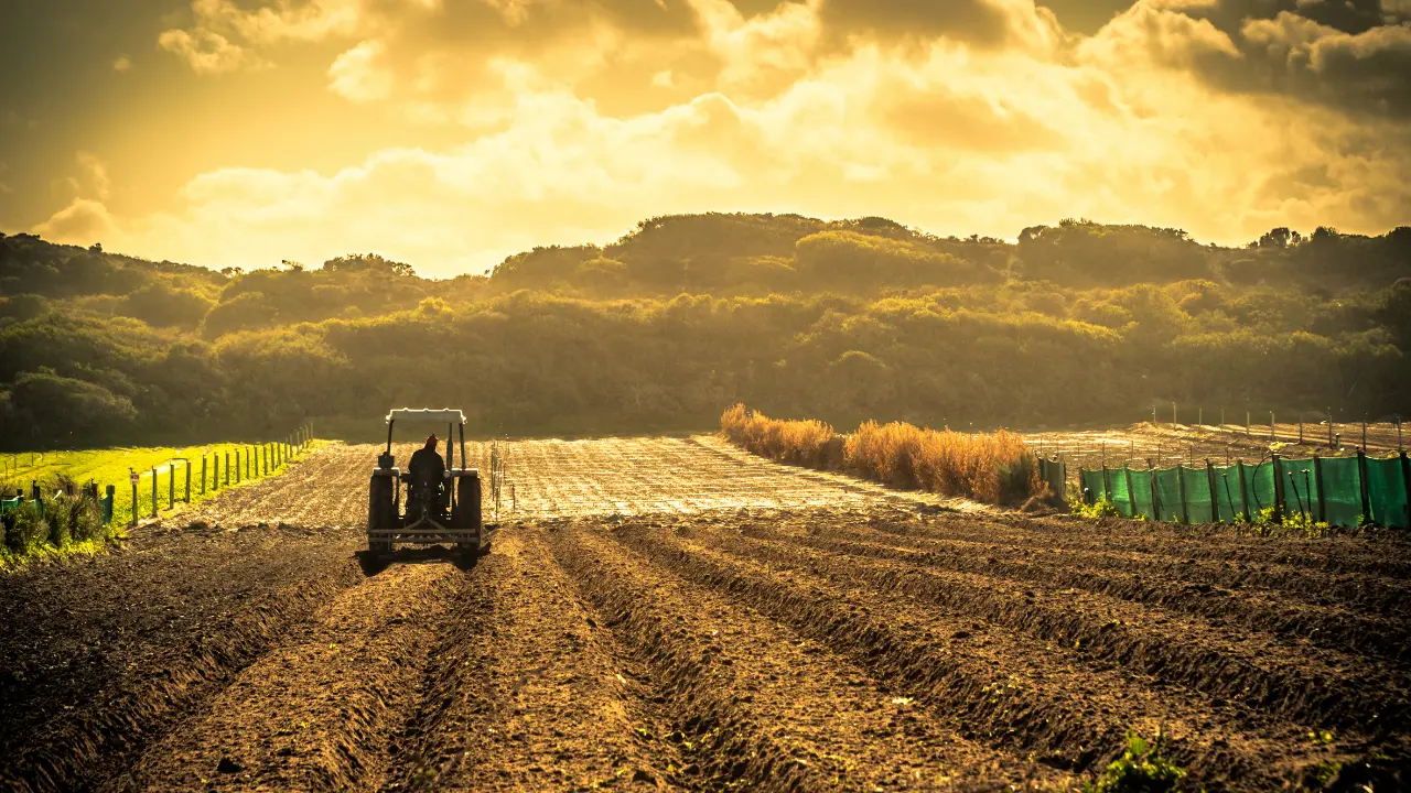 «Garantire equità e tutela del comparto agricolo calabrese».\u00A0Il consigliere regionale Enzo Bruno chiede alla Regione una proroga bando SRD13\n
